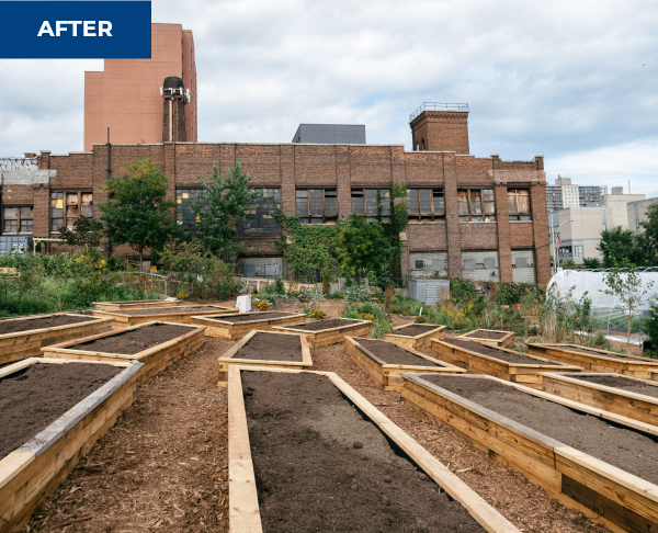 A yard with freshly constructed planter boxes for vegetables shows what the lot looked like after Vikings got involved as part of Service Day.
