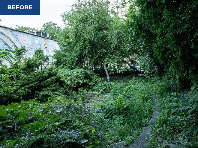 A yard filled with weeds in front of a brown building shows what the lot looked like before Vikings got involved as part of Service Day.